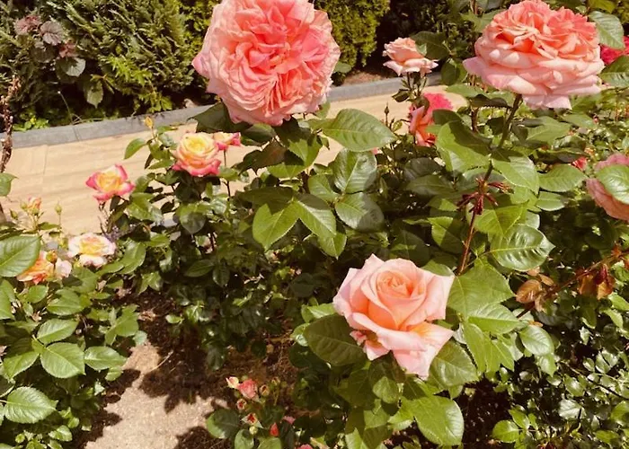 Garden View Near Frankfurt- 2 Lejlighed *